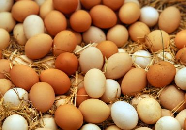 Why has Saudi Arabia banned poultry imports from 40 countries including Bangladesh?