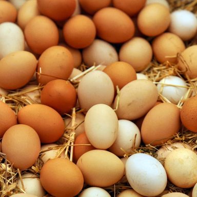 Why has Saudi Arabia banned poultry imports from 40 countries including Bangladesh?