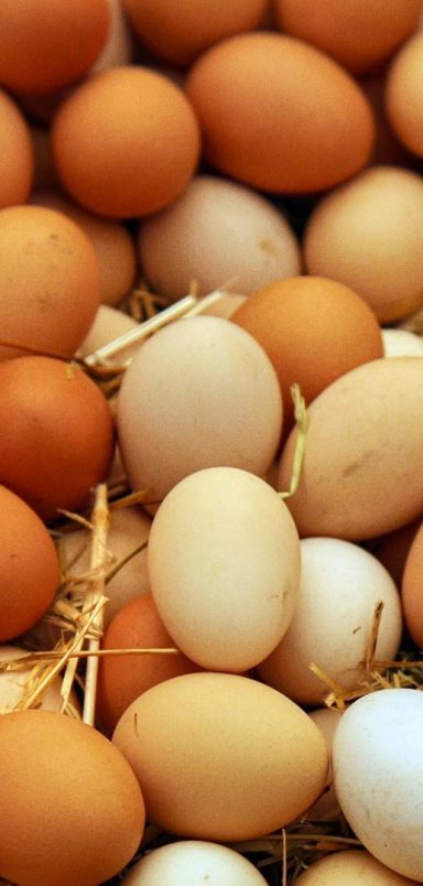 Why has Saudi Arabia banned poultry imports from 40 countries including Bangladesh?