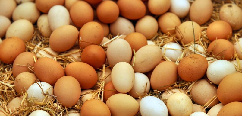 Why has Saudi Arabia banned poultry imports from 40 countries including Bangladesh?
