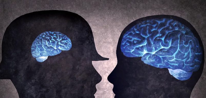 Why are human brains shrinking?