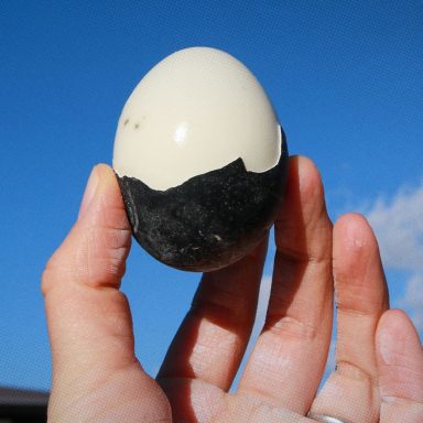 What’s the story behind Japan’s seven-year-life black eggs?