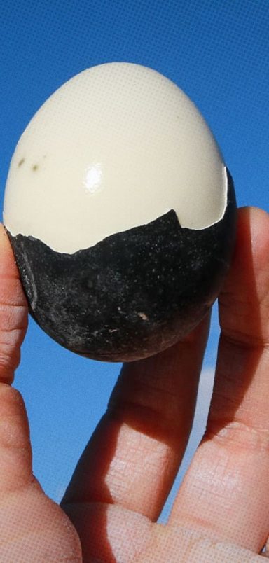 What’s the story behind Japan’s seven-year-life black eggs?