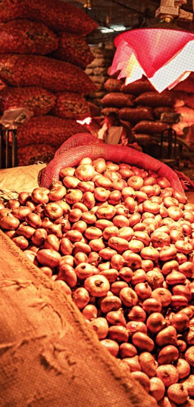 How much has the economy changed in 18 months of the interim government?