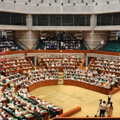 What is a shadow cabinet expected to look like?