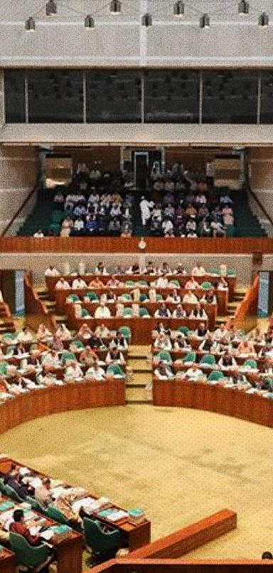 What is a shadow cabinet expected to look like?