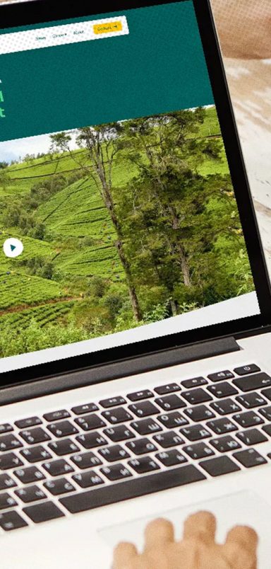 Top 10 eco-friendly supply chain software platforms for sustainable manufacturing