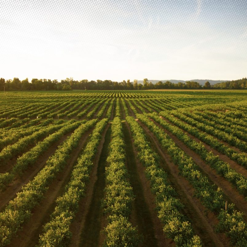 Which are the top countries with the most agricultural land?