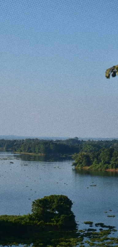 Lake Paradise Picnic Spot: A getaway in the Kaptai serene lake waters