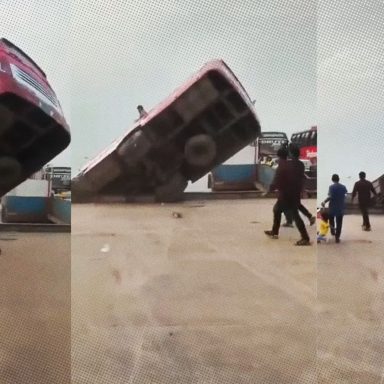 What caused the bus to plunge into the Padma River at Daulatdia?