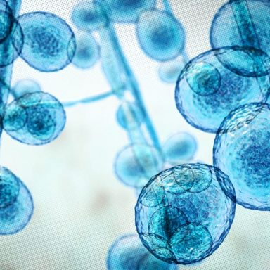 Why is drug-resistant 'superbug' spreading through Dhaka's ICUs?