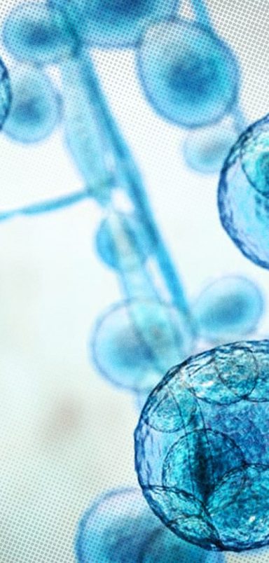 Why is drug-resistant 'superbug' spreading through Dhaka's ICUs?