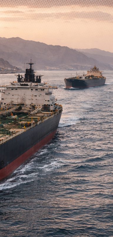 Which country gets the most crude oil through the Strait of Hormuz?
