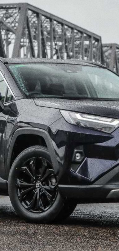 Which are the world’s bestselling passenger cars in 2025?