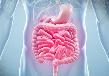 7 ways to improve your gut health naturally