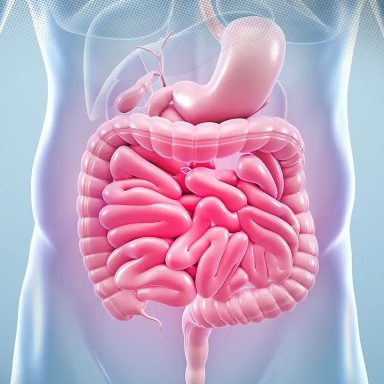 7 ways to improve your gut health naturally