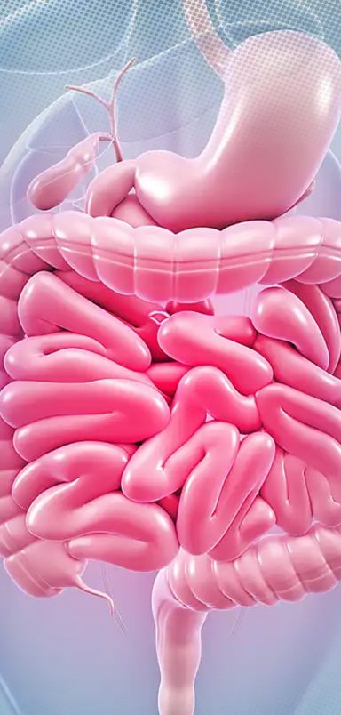 7 ways to improve your gut health naturally