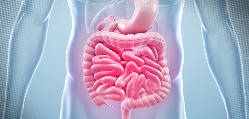 7 ways to improve your gut health naturally