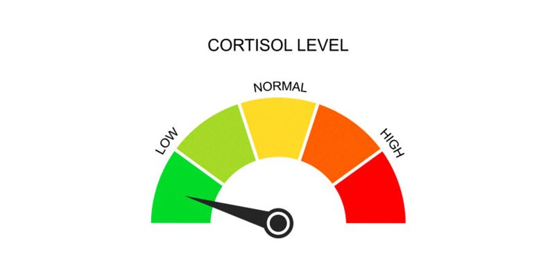 10 natural ways to lower your cortisol levels