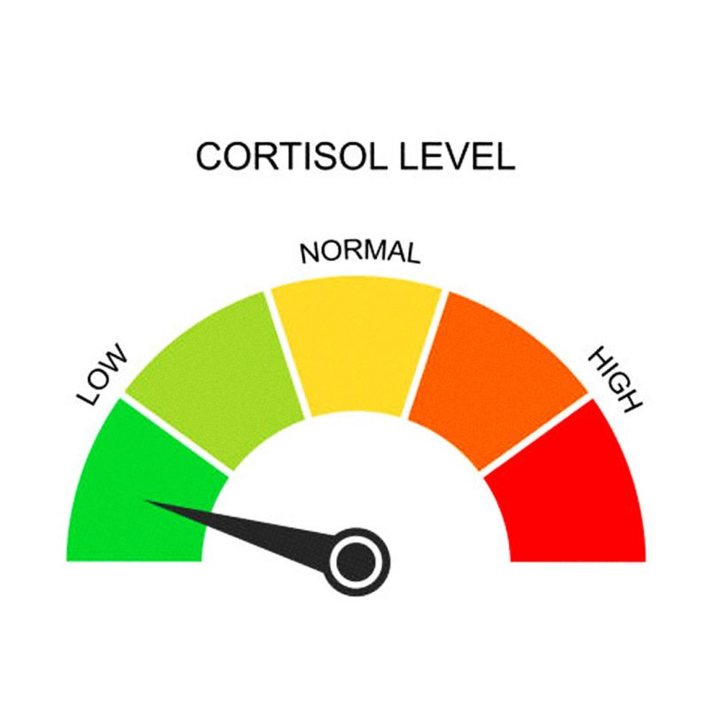 10 natural ways to lower your cortisol levels