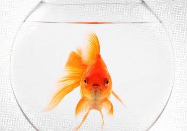 7 signs your attention span might be cooked