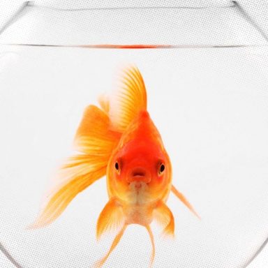 7 signs your attention span might be cooked