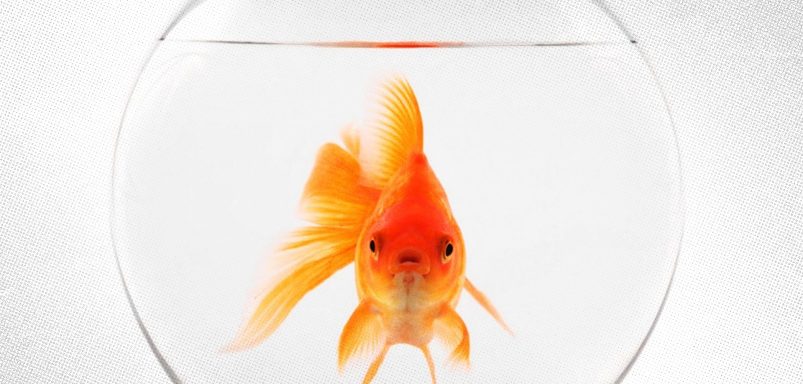 7 signs your attention span might be cooked