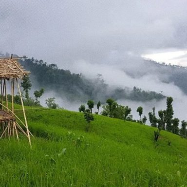 Kirstaung Hill: A hidden world of dense forests and ancient trees in Alikadam