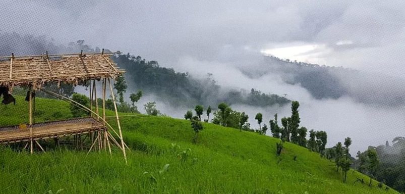 Kirstaung Hill: A hidden world of dense forests and ancient trees in Alikadam
