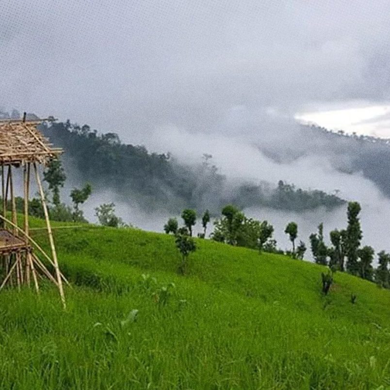 Kirstaung Hill: A hidden world of dense forests and ancient trees in Alikadam