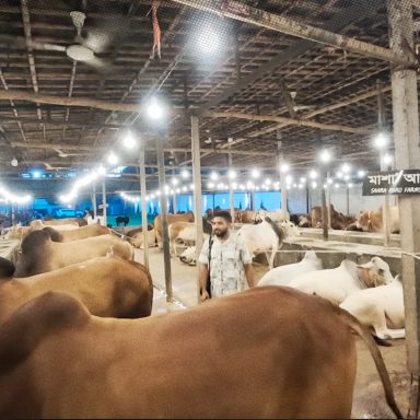Why are buyers choosing farms over traditional cattle markets?