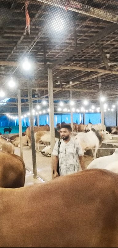 Why are buyers choosing farms over traditional cattle markets?