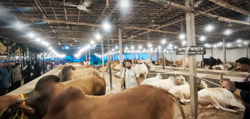 Why are buyers choosing farms over traditional cattle markets?