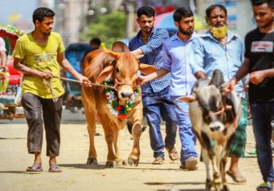 Eid-ul-Adha cleanliness tips: Keep your home, surroundings spotless after Qurbani