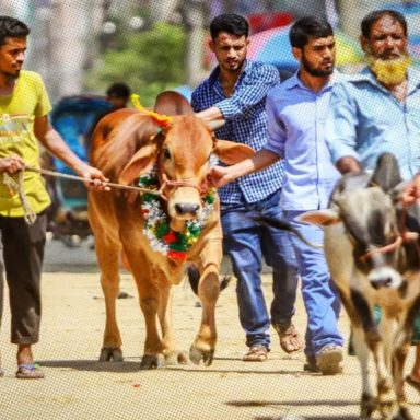 Eid-ul-Adha cleanliness tips: Keep your home, surroundings spotless after Qurbani