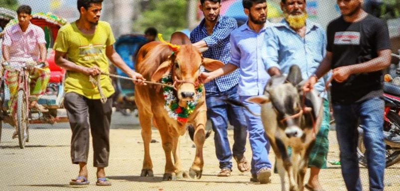 Eid-ul-Adha cleanliness tips: Keep your home, surroundings spotless after Qurbani