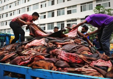 Why are Bangladesh's leather traders struggling to sell hides after Eid?