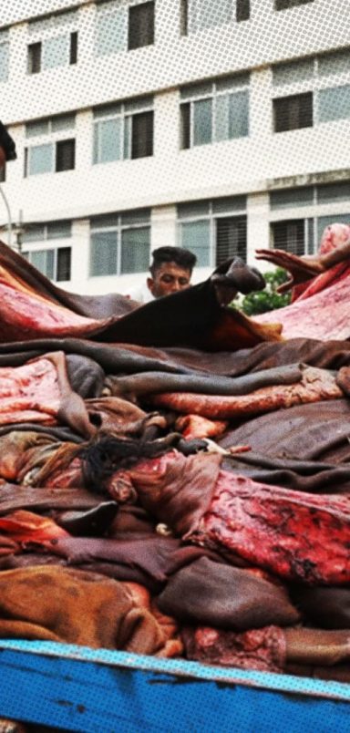Why are Bangladesh's leather traders struggling to sell hides after Eid?
