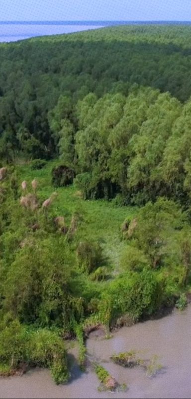How Barguna is reshaping a new horizon for eco-tourism