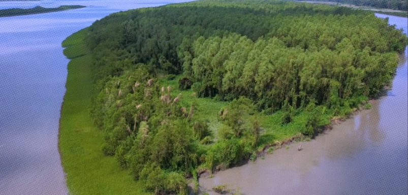 How Barguna is reshaping a new horizon for eco-tourism