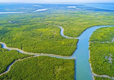 Why Sundarbans is being closed for three months from tomorrow?