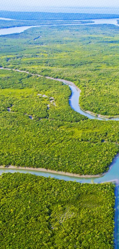 Why Sundarbans is being closed for three months from tomorrow?