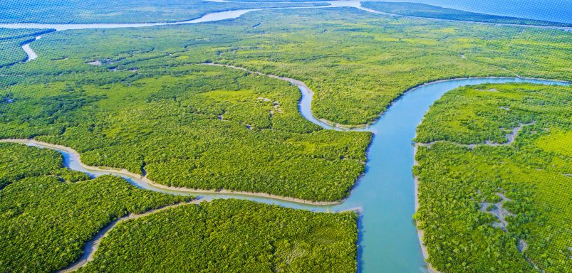 Why Sundarbans is being closed for three months from tomorrow?