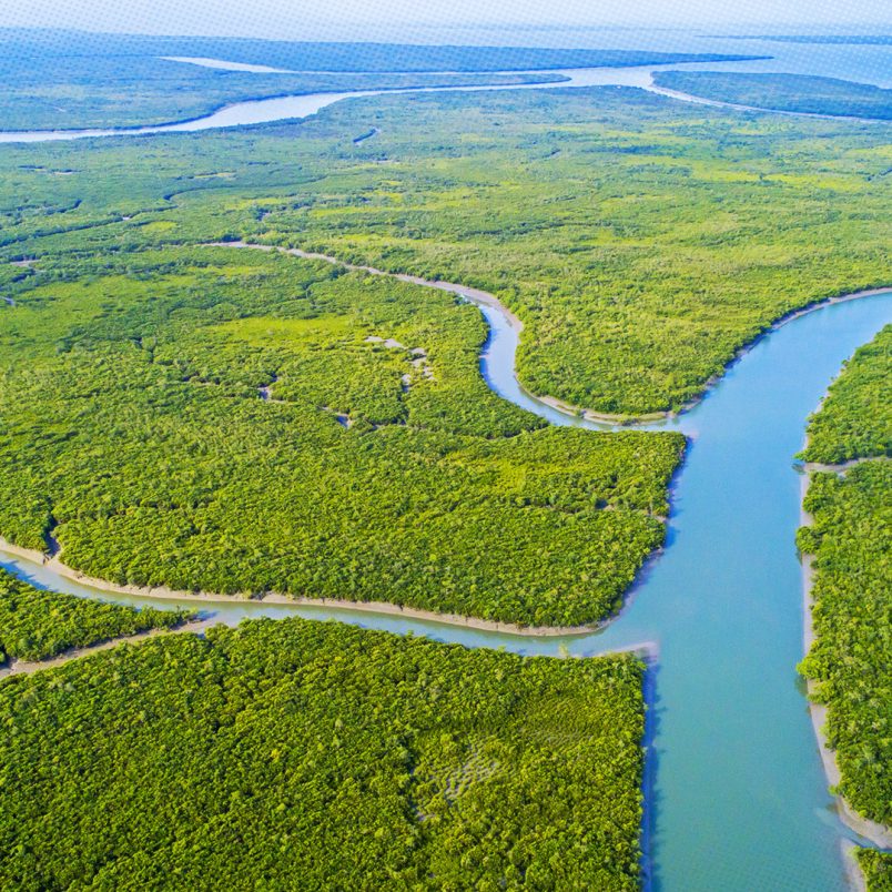 Why Sundarbans is being closed for three months from tomorrow?