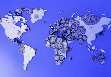 These 13 countries are linked to the hantavirus outbreak