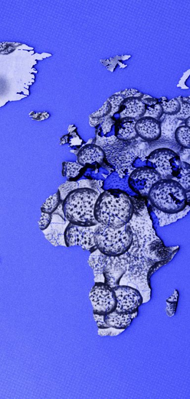 These 13 countries are linked to the hantavirus outbreak