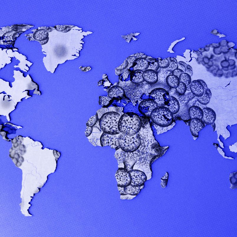 These 13 countries are linked to the hantavirus outbreak
