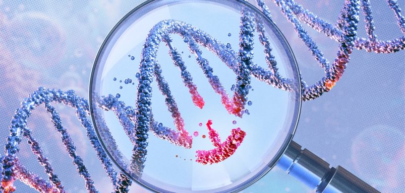 How much of our personalities are determined at birth?