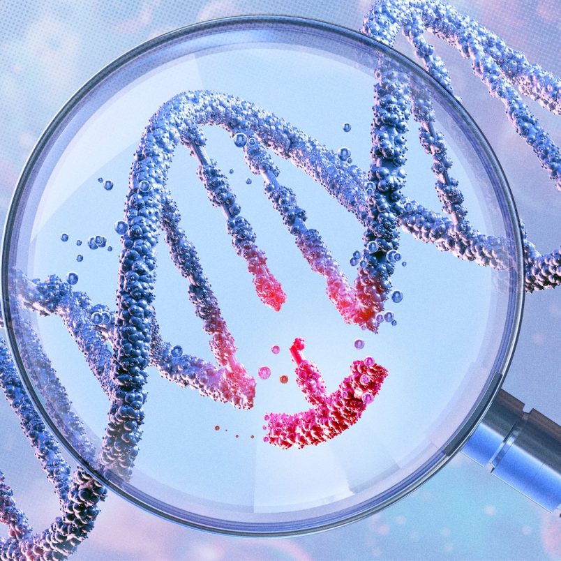 How much of our personalities are determined at birth?