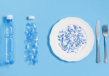 3 simple methods to reduce your body's exposure to plastic chemicals